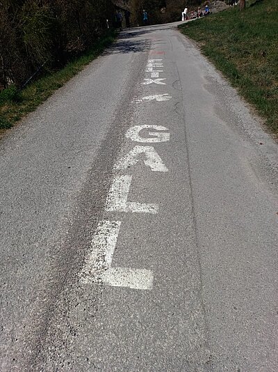 Wanderung der Naturfreunde - Ruine Walchenstein