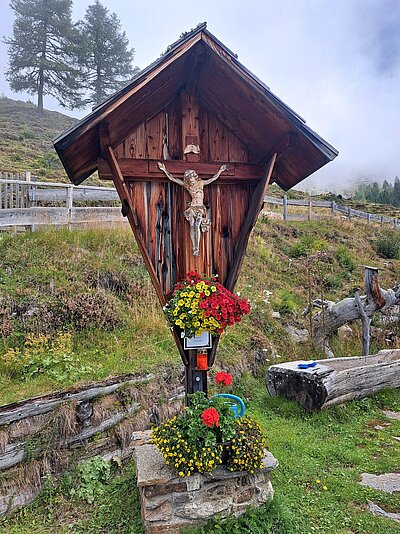 Wanderung der Naturfreunde - Leppner Alm