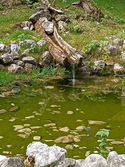 Wanderung der Naturfreunde - Talschlusshütte im Fischleintal