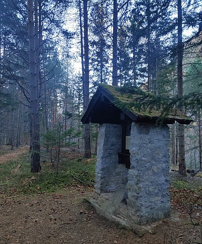 Wanderung der Naturfreunde - Tristachersee und Alter See Runde