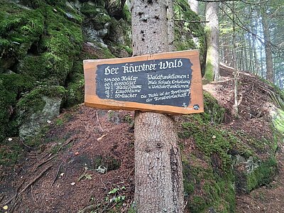 Wanderung der Naturfreunde - Kreuzeckbahn mit Klinghütte - Mühldorfer Alm