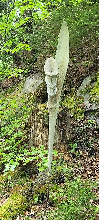 Wanderung der Naturfreunde - Danielsberg