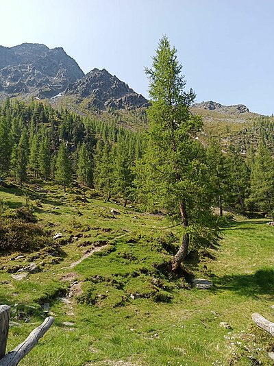 Sonntagswanderung der Naturfreunde - Hochschoberhütte