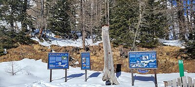 Schneeschuhwanderung der Naturfreunde in Kals