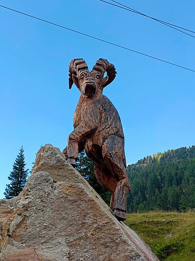 17. Seniorenwanderung der Naturfreunde - Lienzer Hütte