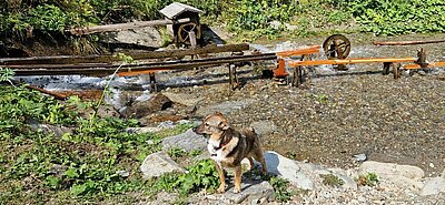 Wanderung der Naturfreunde - Wassererlebnisweg St. Jakob i.Def.