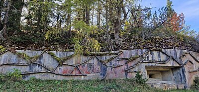 Wanderung der Naturfreunde - Nemes Alm