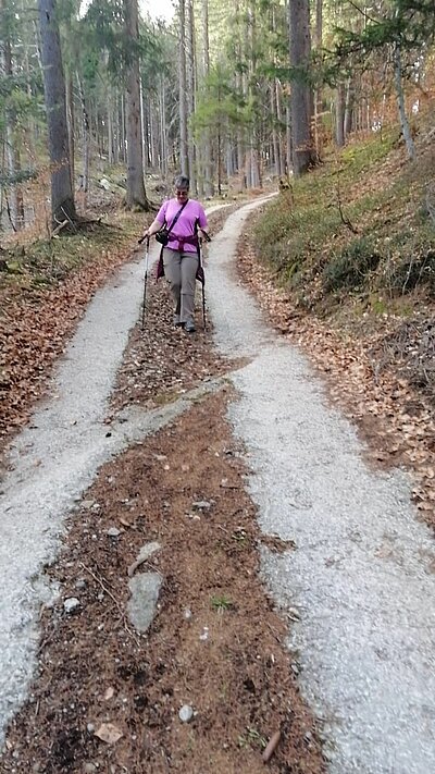 Naturfreunde-Wanderung Schlossberg