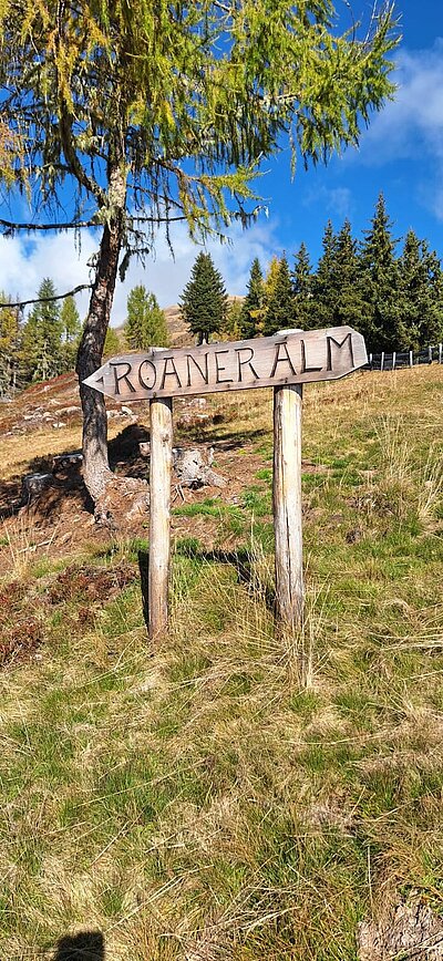 Wanderung der Naturfreunde - Winklerner Almsee