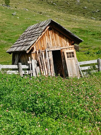 16. Seniorenwanderung der Naturfreunde - Hochweißsteinhaus