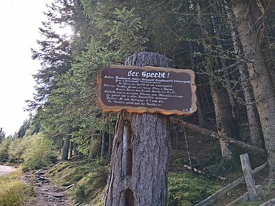 Wanderung der Naturfreunde - Kreuzeckbahn mit Klinghütte - Mühldorfer Alm