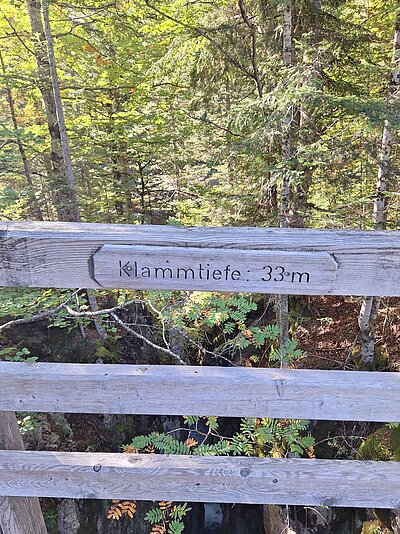 Wanderung der Naturfreunde - Samsteig