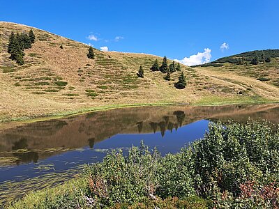 Wanderung der Naturfreunde - Zollnerseehütte