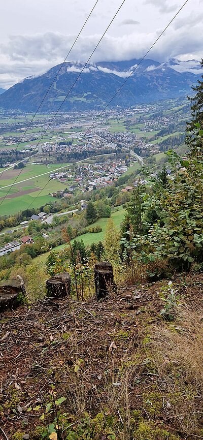 Naturfreunde - Wanderung Schöne Aussicht
