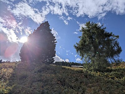 Wanderung der Naturfreunde - Kreuzeckbahn mit Klinghütte - Mühldorfer Alm