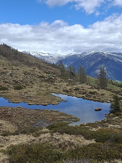 Wanderung der Naturfreunde - Winklerner Almsee