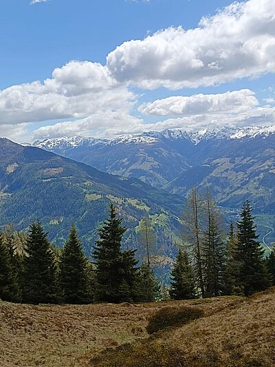 Wanderung der Naturfreunde - Winklerner Almsee