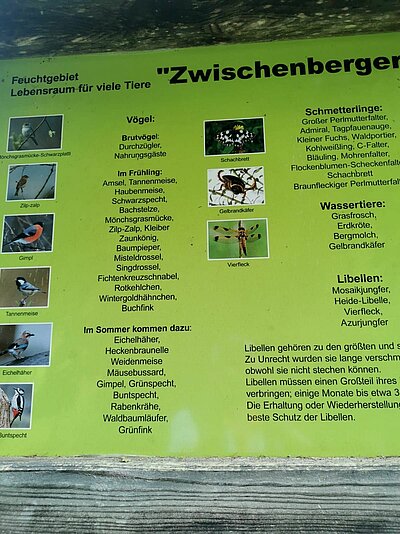 Wanderung der Naturfreunde - Ederplan mit Heldenkreuz und Anna Schutzhaus