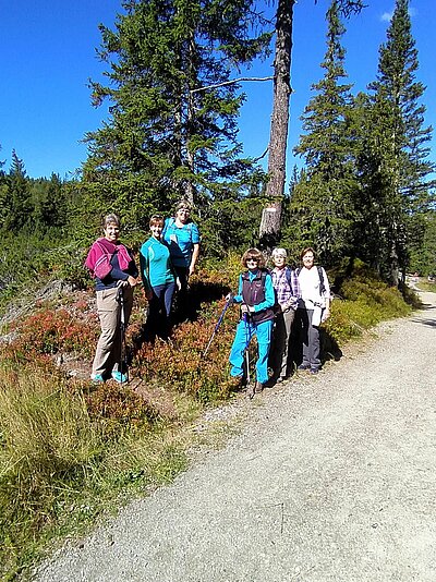 18. Seniorenwanderung der Naturfreunde 2022 - Nemes Alm Rundwanderung