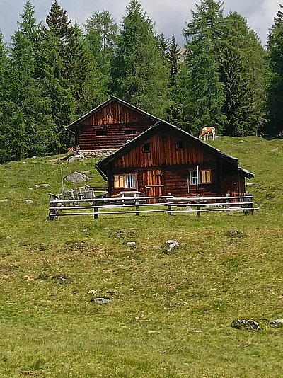 10. Seniorenwanderung der Naturfreunde - Winklerner Hütte