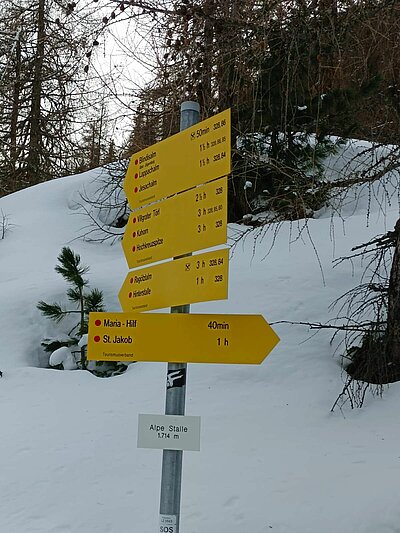 Rodeln der Naturfreunde in St. Jakob (Alpe Stalle)