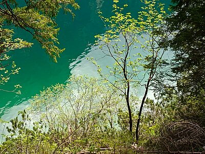 Wanderung der Naturfreunde - Pragser Wildsee - Grünwaldalm