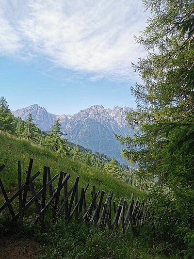 Wanderung der Naturfreunde - Ederplan mit Heldenkreuz und Anna Schutzhaus