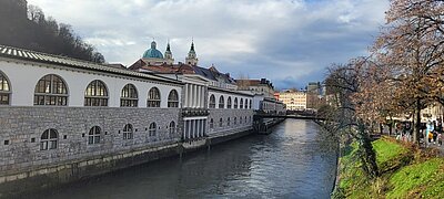 Naturfreunde-Ausflug zum Christkindlmarkt Laibach