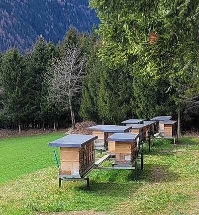 Wanderung der Naturfreunde - Sonnseitenwanderung (Patriasdorf-Oberdrum-Lienz)