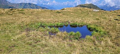 Wanderung der Naturfreunde - Zollnerseehütte
