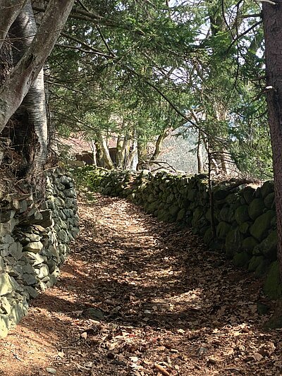 Wanderung der Naturfreunde - Römersteig - Dölsach - Debant