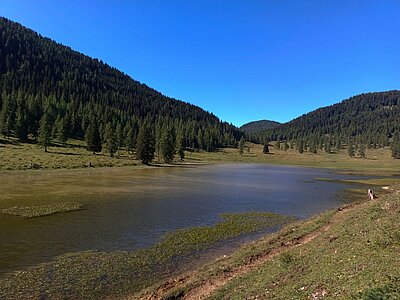 Wanderung der Naturfreunde - Egger Alm in Hermagor