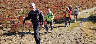 Wanderung der Naturfreunde - Hochstein