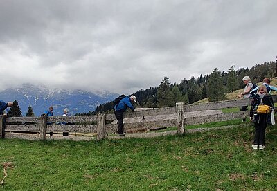 Zettersfeldrunde der Naturfreunde
