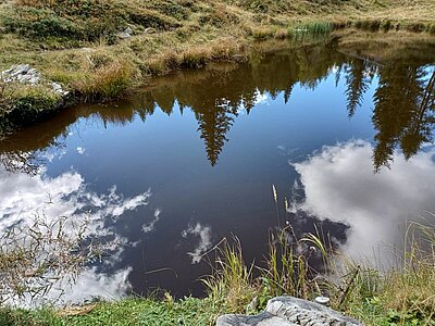 18. Seniorenwanderung der Naturfreunde 2022 - Nemes Alm Rundwanderung