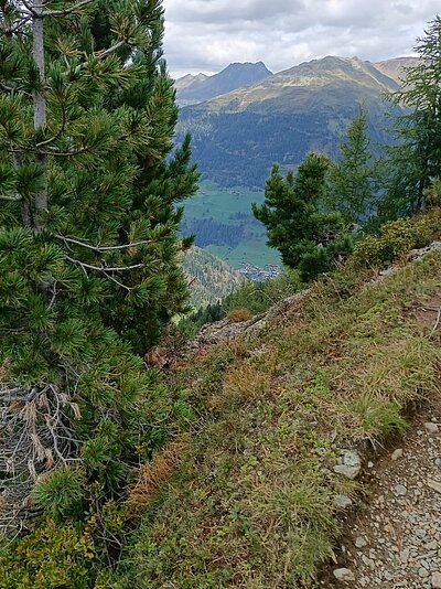 18. Seniorenwanderung der Naturfreunde - Thurntaler Runde
