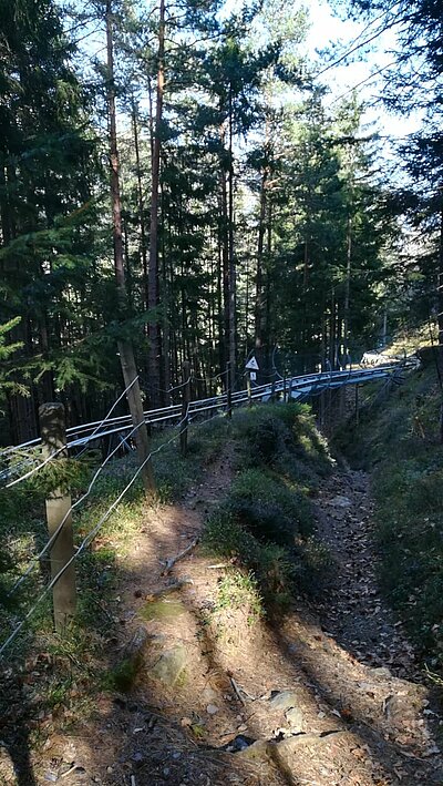 Naturfreunde-Wanderung Schlossberg