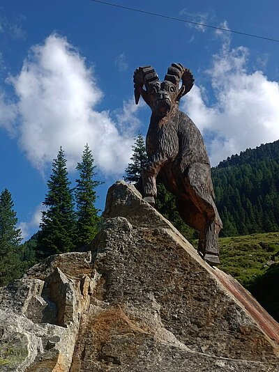 Wanderung der Naturfreunde - Lienzer Hütte