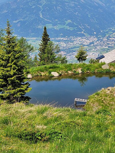 Wanderung der Naturfreunde - Ederplan mit Heldenkreuz und Anna Schutzhaus
