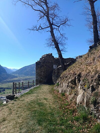 Wanderung der Naturfreunde - Ruine Walchenstein