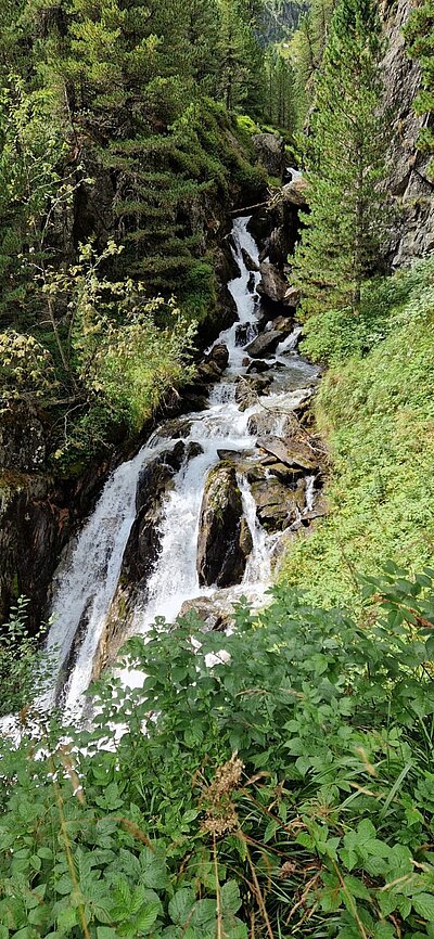 Wanderung der Naturfreunde - Trojeralm