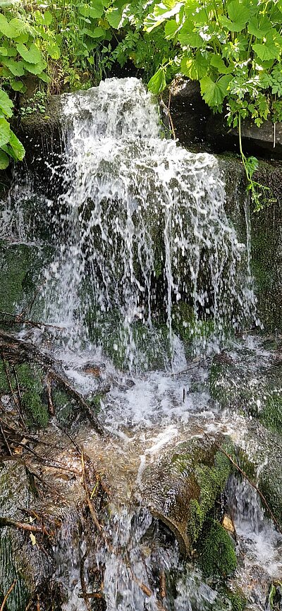 11. Seniorenwanderung der Naturfreunde - Penzelberg