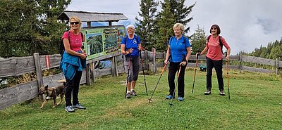 Wanderung der Naturfreunde - Leppner Alm