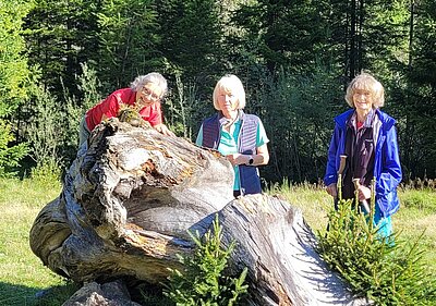 Wanderung der Naturfreunde - Wassererlebnisweg St. Jakob i.Def.