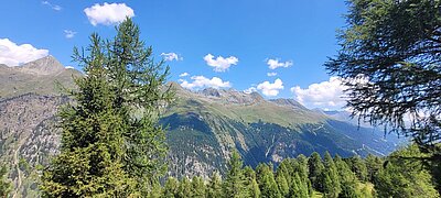 Randwanderung der Naturfreunde - HIRSCHBÜHEL-BLINDISALM-ALPE STALLE