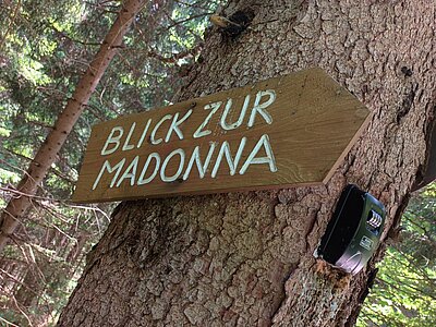 Wanderung der Naturfreunde - Morendenweg, Märchenwald und Wasserfall
