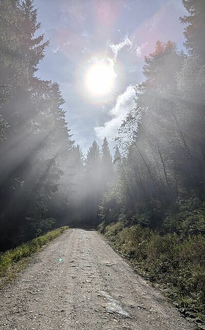 Wanderung der Naturfreunde - Kreuzeckbahn mit Klinghütte - Mühldorfer Alm