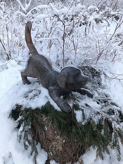 Krippenweg St. Johann i.W