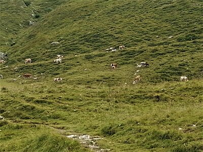 16. Seniorenwanderung der Naturfreunde - Hochweißsteinhaus