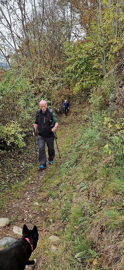 Naturfreunde - Wanderung Schöne Aussicht
